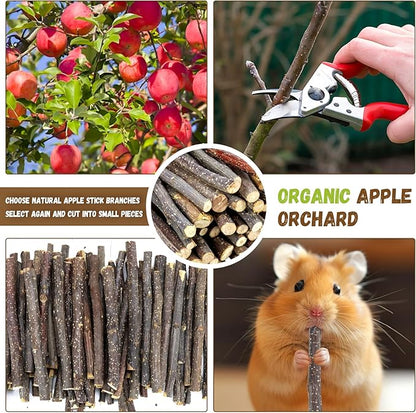 900g/2lb Small Apple Sticks Animals Molar Wood Treats Toys for Rabbits Chinchillas Guinea Pig Hamster Gerbil Parrot Bunny and Small Animals Chew Stick Toys Treats