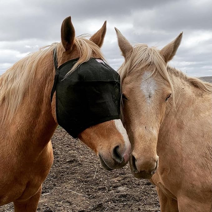 EquiVizor 95% UV Eye Protection (Full) Standard Horse Fly Mask - Help with Uveitis, Corneal Ulcer, Light Sensitivity. Designed to Stay On Your Horse, Off The Ground.