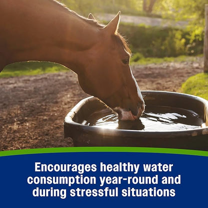 Farnam Apple Elite Electrolyte Supplement for Horses, Replaces Vital Minerals, Encourages Hydration, No Added Sugar, 7.5 lb, 40 Day Supply