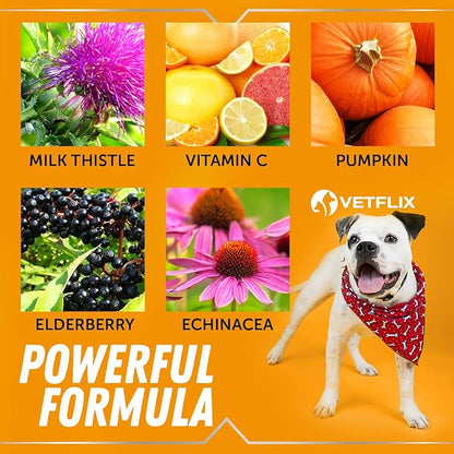 Allergy Immune Anti Itch & Hot Spots - Made in USA Natural Pet Supplement for Cat & Dog Allergy Relief with Turmeric & Milk Thistle -Seasonal Allergies Digestive Treatment for Dogs & Cats - 2 Fl Oz