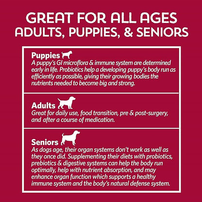 Fidobiotics Good Guts for Lil Mutts Probiotic for Dogs, Billions of CFUs, 11 Strains, 5 Digestive Enzymes, 2 Prebiotics, Digestive Gut Health for Dogs, Adult & Puppy Probiotics Supplements (30 Days)