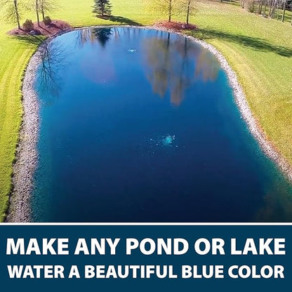 Airmax Black DyeMond Pond Dye 4X Concentrate for Outdoor Ponds & Lakes, Natural Pond Colorant & Beauty Enhancer, Block Ultraviolet Rays, Fish, Bird & Livestock Safe, Easy Liquid Application, 1 Quart