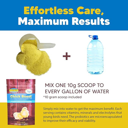 Flock PRO Chick Boost Probiotic - Probiotics, Vitamins, Minerals and Electrolytes for Chickens | Chicken Vitamins and Supplements for All Poultry - 3Oz