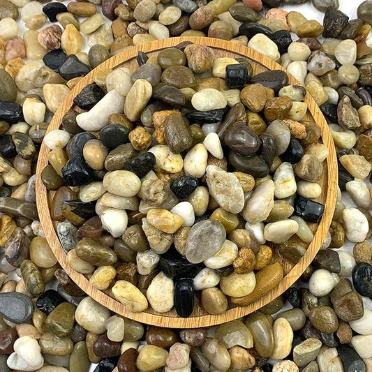 2lbs Aquarium Rocks, 2/5 Inch Pea Gravel for Indoor Plants, Decorative River Rocks for Fish Tank Succulent Vase Plant Soil Cover and Outdoor Landscaping