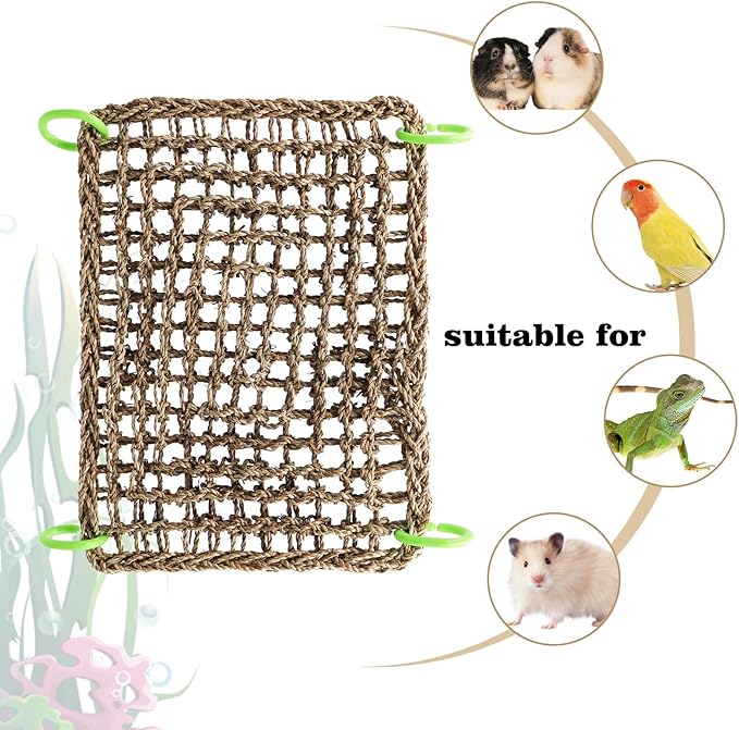 16 x 12 Inches Bird Seagrass Mat, Natural Seagrass Woven Net, Bird Hammock Mat with Hooks, Bird Cage Accessories, Climbing Rope Ladder Chew Toys for Cockatiel Hamster Guinea Pig Rats Hamster Parakeet