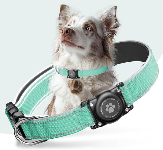 Airtag Dog Collar - 100% Waterproof Air tag Dog Collar Holder for Apple AirTag, Reflective, Soft Padded, Everlasting, GPS Dog Collar for Small Medium Large Dogs (Teal, M)
