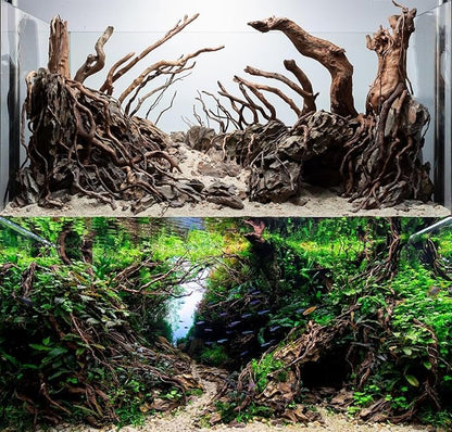 Aquarium Driftwood Roots for aquascaping - 160g Mix Natural Wood Roots for Aquarium aquascaping, aquascaper Essentials Driftwood Roots