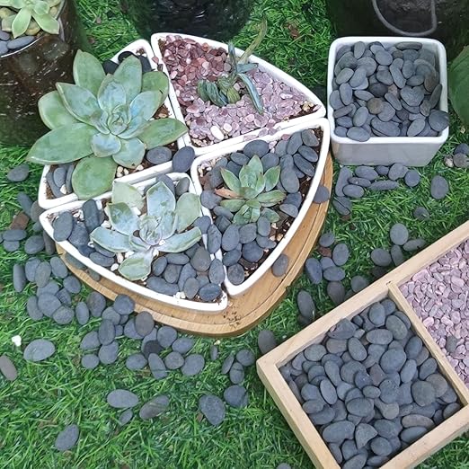 18lb Small Smooth River Rocks Pebbles for Plants & Succulents, Decorative Outdoor Landscaping Garden Rocks, Natural Mexican Beach Pebbles, Gravel for Aquarium, Fish Tanks, Vase and Yard Decor