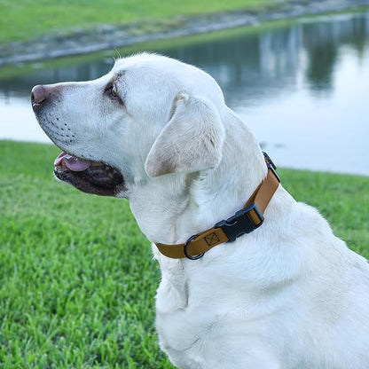 Dogline Biothane Waterproof Dog Collar with Quick Release Buckle Strong Coated Nylon Webbing with Odor- Proof for Easy Care Easy to Clean Fits Small Medium Large Dogs, Coyote Brown 3/4" W 12-19" L