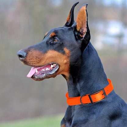 Dogline Biothane Waterproof Dog Collar Strong Coated Nylon Webbing with Black Hardware Odor- Proof for Easy Care Easy to Clean High Performance Fits Small Medium or Large Dogs, Hunter Orange