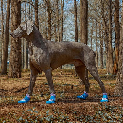 Dog Shoes, Waterproof Dog Boots & Paw Protectors with Anti-Slip Sole, 4pcs/Set Pet Dog Booties, Reflective Dog Shoes for Small Medium Large, Winter Snowy Summer Hot Pavement (Blue, 5# (M))