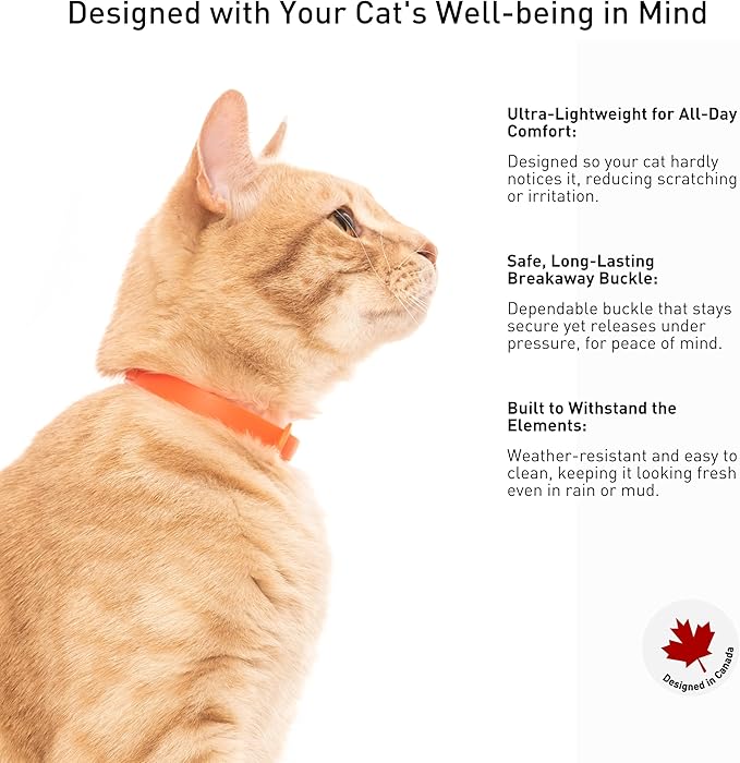 5 Pack Breakaway Cat Collar - Soft, Comfortable, and Lightweight Safety Buckle Collar with ID Tag Ring for Outdoor Cats and Kittens by Nuvuq (6 ⅞" to 10 ¼", Red, Orange, Pink, Blue and Black)