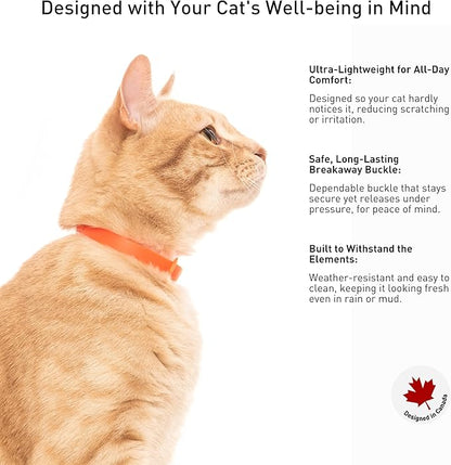 5 Pack Breakaway Cat Collar - Soft, Comfortable, and Lightweight Safety Buckle Collar with ID Tag Ring for Outdoor Cats and Kittens by Nuvuq (6 ⅞" to 10 ¼", Red, Orange, Pink, Blue and Black)