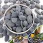 7LB River Rocks,Mexican Beach Pebbles for Plants,Potting,Garden Landscape Stone Paving Stone Grey 1Inch - 2Inch