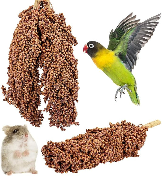 Fhiny Millet Spray for Birds, 3 PCS Natural Sun-Dried Red Sorghum Grain for Birds Seed Original Parrot Treats & Supplement Parakeet Food for Cockatiels Lovebirds Finches Budgies Pigeons Hamsters