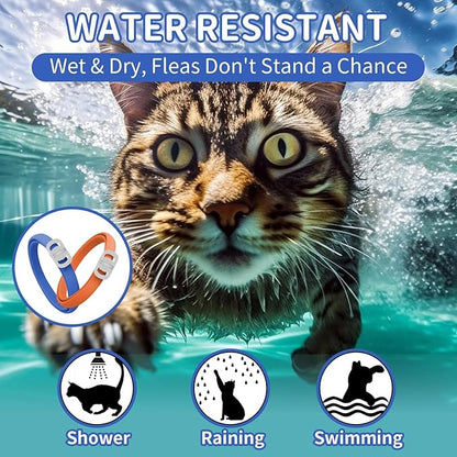 4 Pack Flea and Tick Collar for Cats, 32 Months Flea and Tick Treatment, Flea and Tick Prevention, Waterproof, Adjustable Flea and Tick Collar for Kittens, Blue & Orange