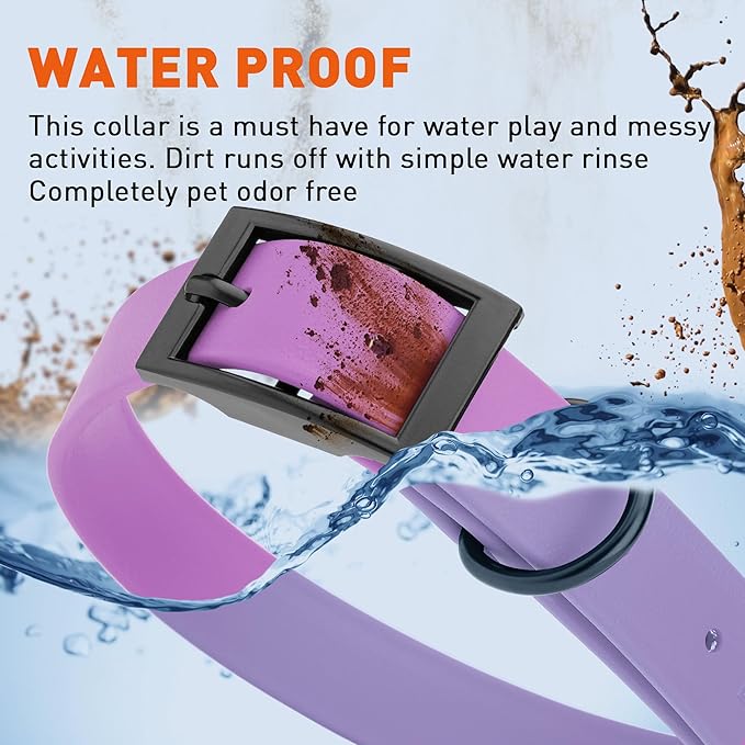 Dogline Biothane Waterproof Dog Collar Strong Coated Nylon Webbing with Black Hardware Odor- Proof for Easy Care Easy to Clean High Performance Fits Small Medium or Large Dogs, Amethyst Purple