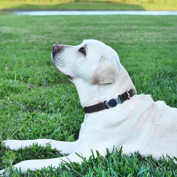 Dogline Biothane Waterproof Dog Collar with Herm Sprenger Black Stainless Steel Quick Release Buckle – Heavy Duty Tactical Durable Collar for Dogs – Comfortable and Safe Pet Collar W 1" L 15-25" Black