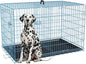 FDW Dog Crate for Large Dogs 48 Inch Folding Metal WirePet Cage Double Door W/Divider Panel Indoor Outdoor Kennel Leak-Proof Plastic Tray,Blue
