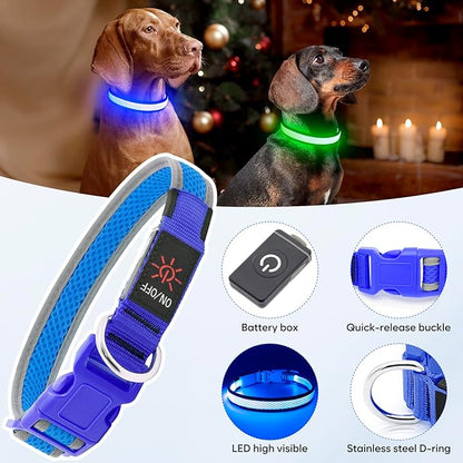 Flashseen LED Dog Collar, Light Up Dog Collar USB Rechargeable, Brightest Dog Lights for Night Walking, Adjustable Dog Collar Light for Dog Safety (Large, Royal Blue)