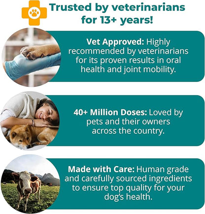 1TDC WorksSoWell Dual Action Joint Supplement for Dogs & Cats - Hip and Joint Supplement for Large Breed & Small Breed - Also Great for Oral Health - Muscle & Stamina Recovery & Arthritis - 30ct