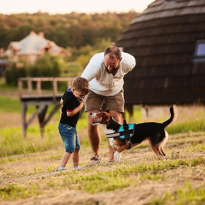 Dogline Dog Harness, Reflective No-Pull Adjustable Vest with Handle for Walking, Training, Breathable, No - Choke Harness for Small, Medium or Large Dogs Room for Patches Girth 15 to 18 in Turquoise