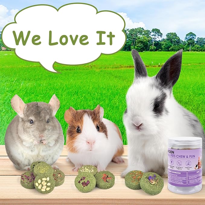 ERKOON Treats Rabbit Toys, 100% Edible Premium Timothy Hay Chew A Blocks for Rabbits, Chinchilla Treats, Chew Toys for Teeth Guinea Pigs and Mice