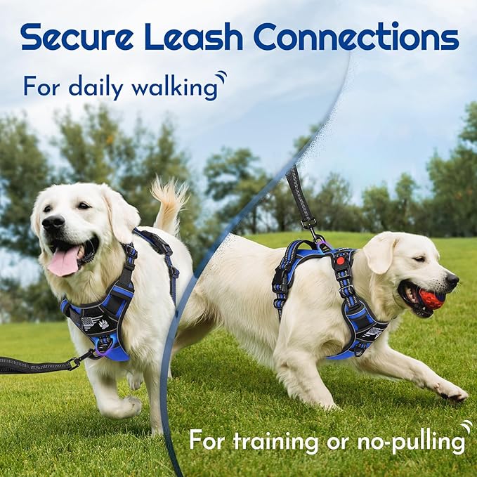 Eagloo Dog Harness Medium Sized, Easy Wearing with 3 Buckles, Adjustable No Pull Pet Harness with 2 Rings for Walking, No Chock Reflective Soft Padded Vest with Control Handle, Blue & Black, M