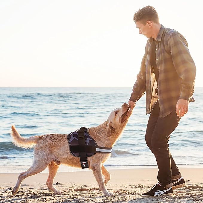 Dogline Dog Harness, Reflective No-Pull Adjustable Vest with Handle for Walking, Training, Breathable, No - Choke Harness for Small, Medium or Large Dogs Room for Patches Girraffe Grey XS 15"-18"