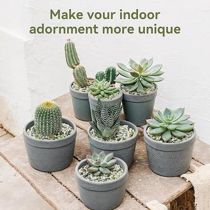 2.5LB Succulent and Cactus Pebbles, 1/5 Inch Jade Pebbles for Indoor Plants, Decorative Gravel for Vases, Bamboo, Succulent, Terrarium, Crafts, Cactus