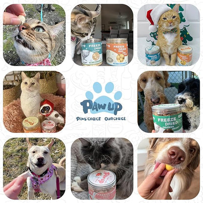 Freeze Dried Sheep Milk Yogurt Flavor, Gentle Sheep Milk Dog Treats for Sensitive Stomachs Puppies, 2.8 oz