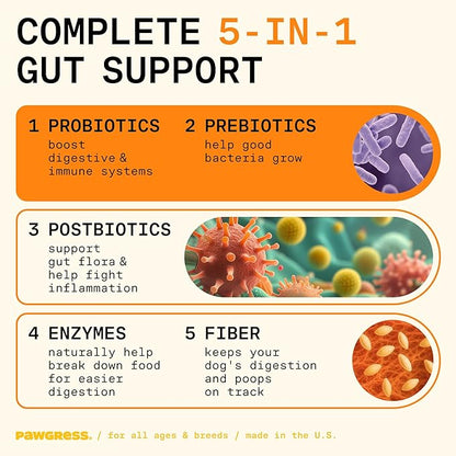 5-in-1 Dog Probiotic Powder – 100% Natural Gut Health Support with Prebiotics, Postbiotics & Enzymes – Crafted by Dog Nutritionist Kayla Kowalski, Made in USA – 30 Scoops