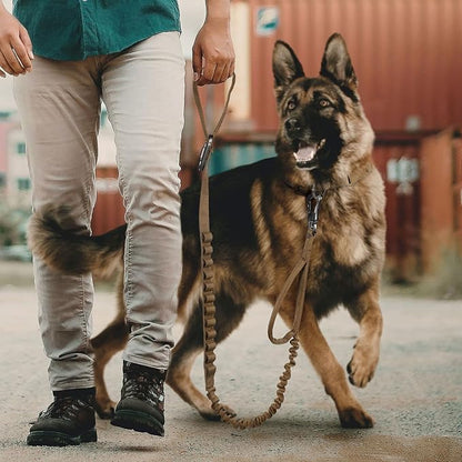 EXCELLENT ELITE SPANKER Tactical Bungee Dog Leash Military Adjustable Dog Leash Quick Release Elastic Leads Rope with 2 Control Handle（Grey