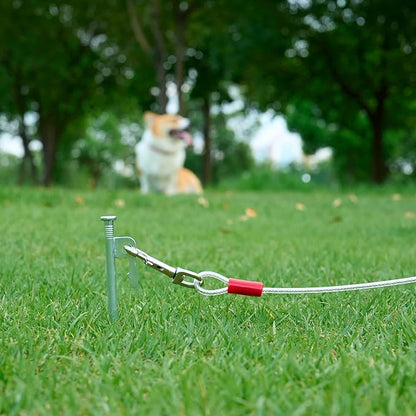 Amazon Basics Tie-Out Cable for Dogs up to 90 lbs, 25 feet, Set of 2, White