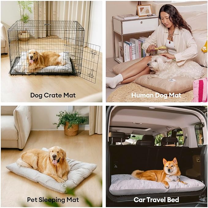 FUNNY FUZZY Washable Dog Bed,Reversible Plush Dog Crate Mat, Soft Fluffy Kennel Pad,Pet Sleeping Mattress for Jumbo,X-Large Sized Dogs Breeds,2XL,48"× 31",Beige