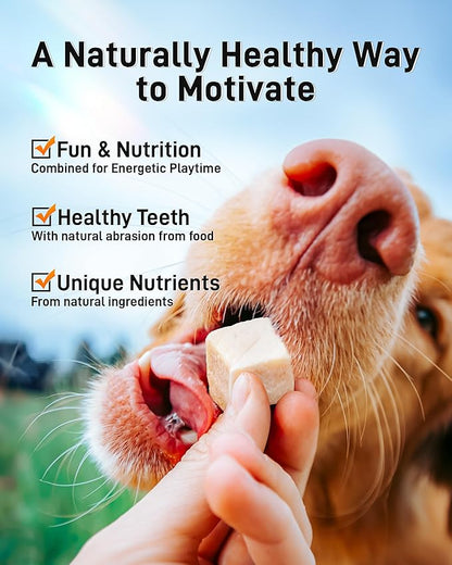 Freeze Dried Chicken Cats & Dogs Treats, 1.1lb(17.63 OZ), Single Ingredient, High Protein, No Additives, Grain Free, Training & Nutrition Supplements, Sealed Box