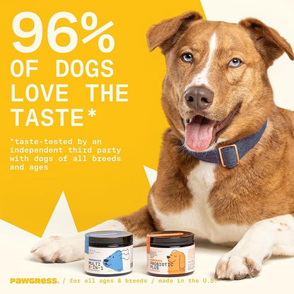 5-in-1 Dog Probiotic Powder – 100% Natural Gut Health Support with Prebiotics, Postbiotics & Enzymes – Crafted by Dog Nutritionist Kayla Kowalski, Made in USA – 30 Scoops