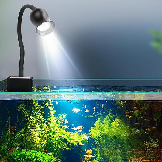 Aquarium Focus Light for Open Fish Tank Indoor LED Light Big Clip Lamp Adjustable Focus (White-Blue with Timer)