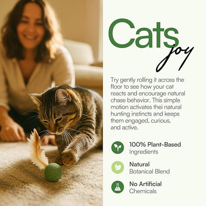 3 Pcs Catnip Balls with Feathers – Natural Catnip Toy for Play, Stress Relief & Healthy Enrichment Interactive Cat Toys Perfect for Indoor Cats & Kittens, Encourages Active Play & Wellness
