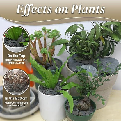 5 lbs Mexican Beach Pebbles, 0.3-0.6 Inch Small Pebbles for Pots Indoor Plants, Succulent, Vase, Fish Tank, Decorative River Rocks for Garden Landscaping, Home Decor, Outdoor Paving, Grey