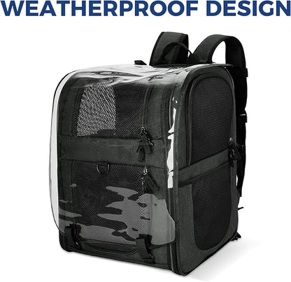 Apollo Walker Pet Carrier Backpack for Large/Small Cats and Dogs, Puppies, Safety Features and Cushion Back Support for Travel, Hiking, Outdoor Use (Black-Expandable)