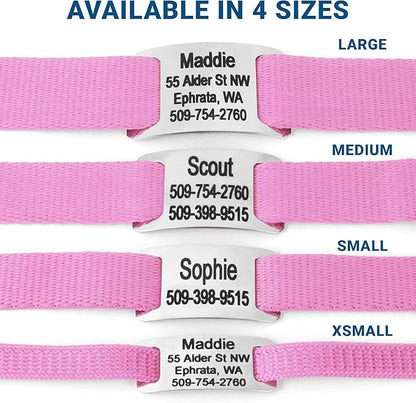 GoTags Personalized Dog Collar with Nameplate, Adjustable Dog Collar with Custom Engraved Slide On Pet ID Tag in Stainless Steel, Silent, No Noise Dog Tag for Large Medium and Small (Pink, X-Small)