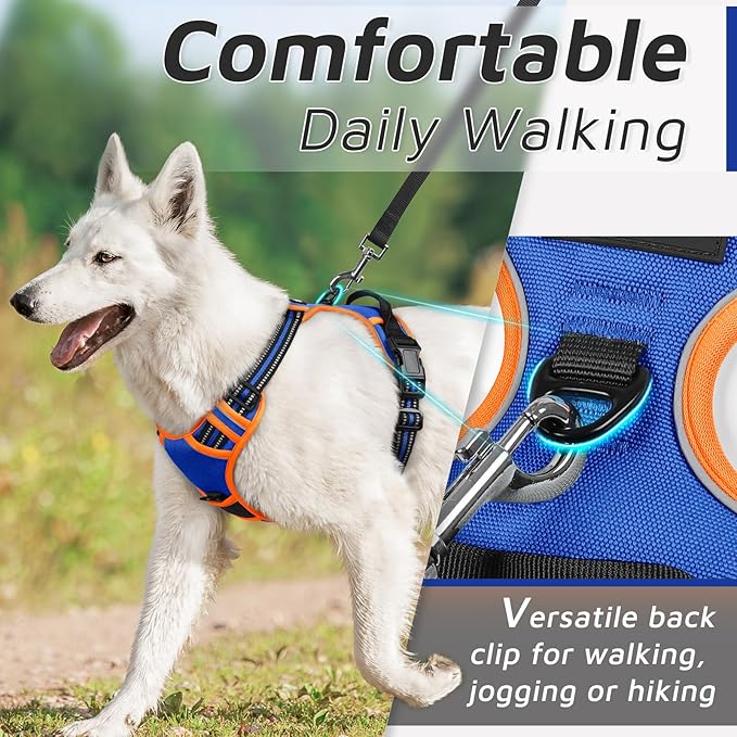 Eagloo Dog Harness Small Sized Dog, No Pull Service Vest with Reflective Strips and Control Handle, Adjustable and Comfortable for Walking, No Choke Pet Harness with 2 Metal Rings, Blue & Orange, S