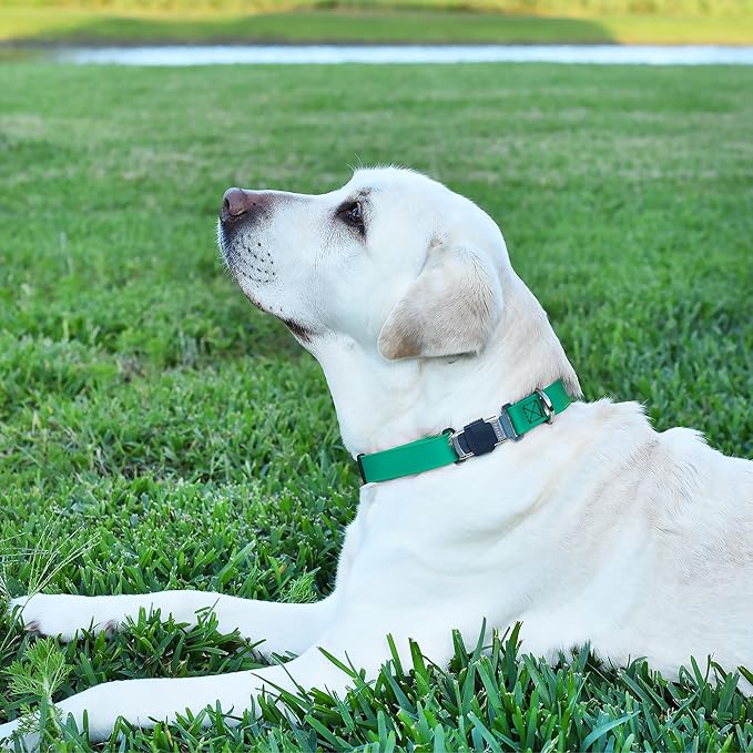 Dogline Biothane Waterproof Dog Collar with Herm Sprenger Black Stainless Steel Quick Release Buckle – Heavy Duty Tactical Durable Collar for Dogs – Comfortable and Safe Pet Collar W 3/4" L12-19 Teal