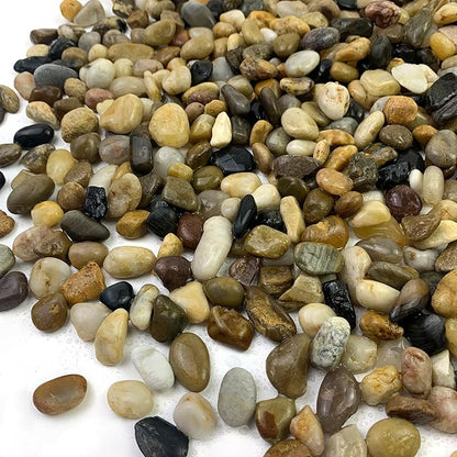 5 lbs Gravel for Fish Tank, 2/5 Inch Mixed Color River Rocks for Aquarium, Vase Fillers, Cactus Bonsai, Plant Soil Cover and Outdoor Garden Landscaping Rocks