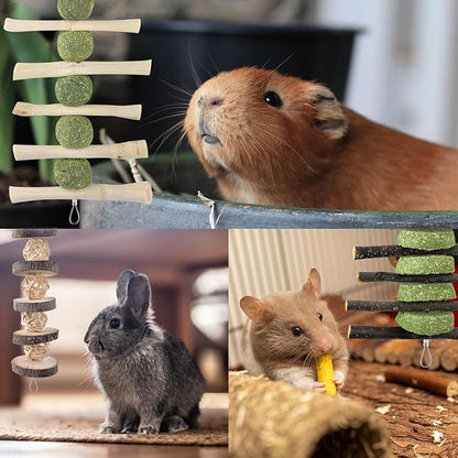 ERKOON Bunny Chew Toys, Rabbit Chew Toys for Teeth Grinding, Improve Dental Health, 100% Natural Apple Wood Timothy Grass Cake Treats for Rabbits Guinea Pigs Chinchillas Bunnies Hamsters (5 Pcs)