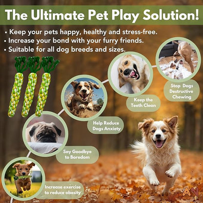 3PCS Rainbow Woven Pet Chew Set, Colorful Puppy Teething Chews, Dog Chew Toys, Cat Teething Playset, Soft & Safe Interactive Pet Chews