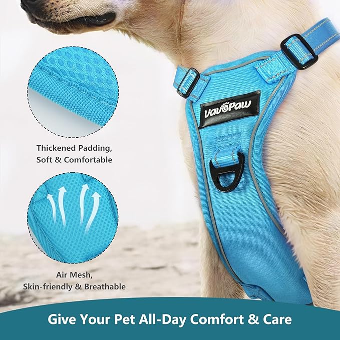 Dog Seat Belt Harness for Car, Dog Car Harness Adjustable Mesh Breathable & Dogs Seatbelt Safety Tether with Elastic Bungee for Small Medium Large Pets(Blue, XL)