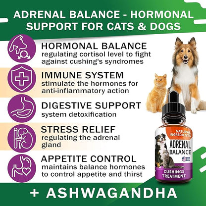 Adrenal Balance for Dogs and Cats - Cushings Treatment for Pets, Adrenal Support w/ Ashwagandha, Licorice Root, Rhodiola Rosea - 2oz Herbal Drops