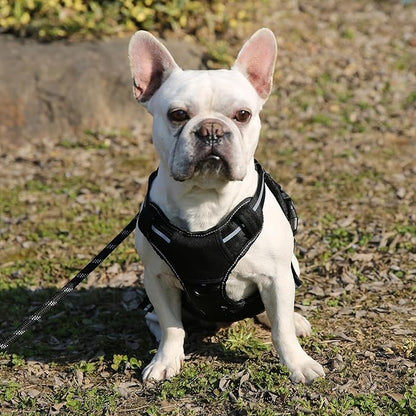 Amazon Basics No Pull Dog Harness, Adjustable Front Clip, Tactical Vest, Medium, Black